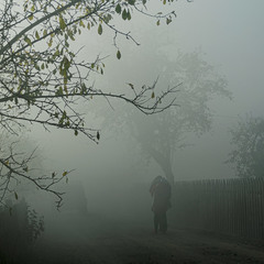 Поліські тумани
