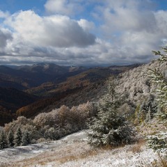 Перший сніг ІІ