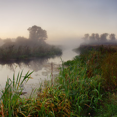 Туман на реке Волчья