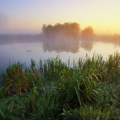 Туманний ранок на річці