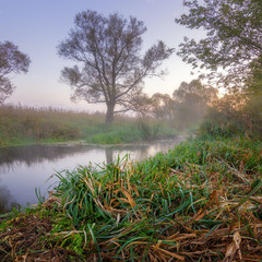 Осеннее утро на реке