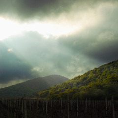 Взгляд с небес в долину винных сказок