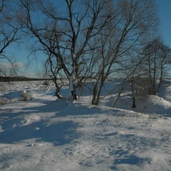 Зимовий пейзаж.