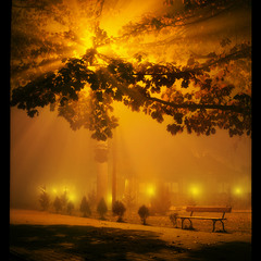 Ночь, улица, фонарь... скамейка...