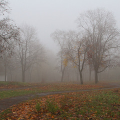 Туман в осеннем парке