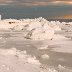 Ледяное побережье