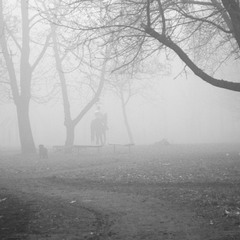 Всадник в тумане
