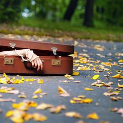 "осень в чемодане"