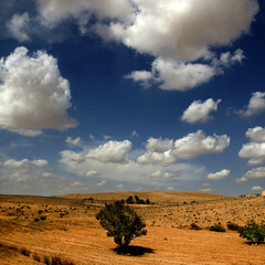 Сахара в октябре