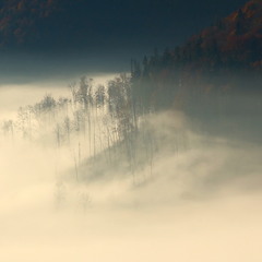 таємничі тумани осені 1