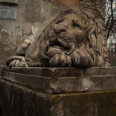 Місто лева