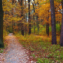 Жовтень (на заставку)