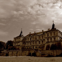 Підгорецький замок, лето 2012