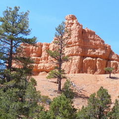 Красный Каньон, фрагмент (англ. Red Canyon, Utah)