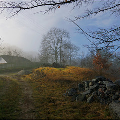Туманным утром на селе