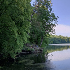 05.07.25 08:28
