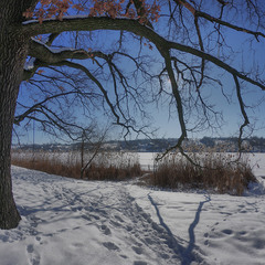 Відчуття весни...