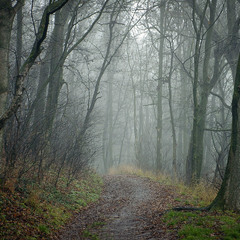 В старому парку...