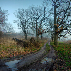 Вечоріє  10.12.25