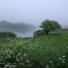 Ранок 25.05.25