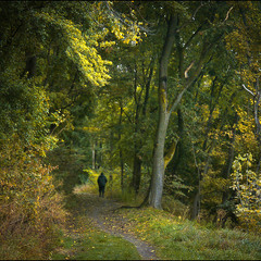 В старому парку...