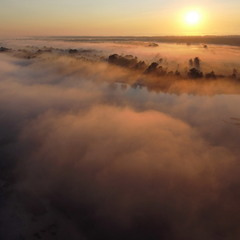 Над утренним туманом