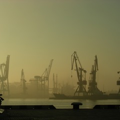 Утро в порту