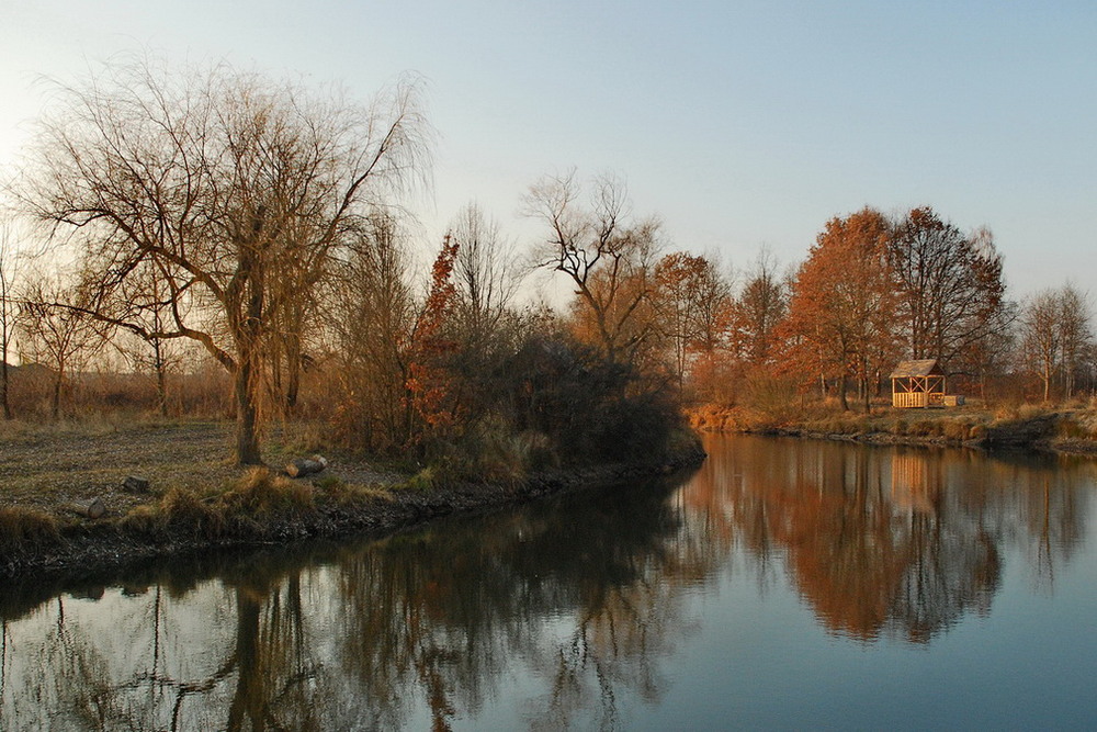 Конец осени. Конец осени фото.