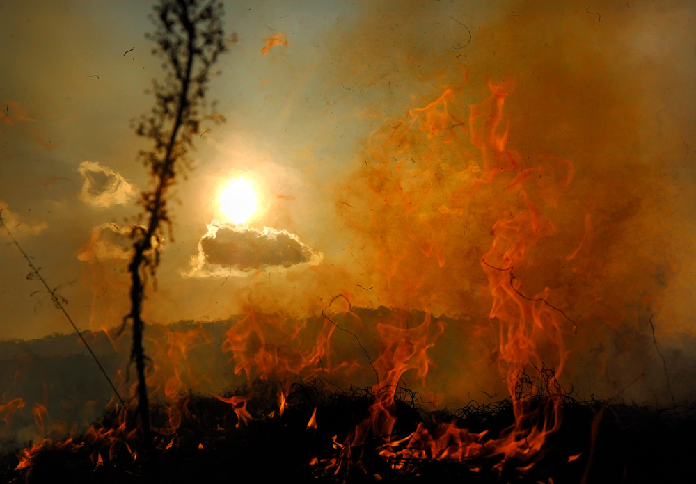 Новая жизнь жар песков. Лесные пожары. Солнце и пожар. Пожар от солнца. Лесные пожары в России.