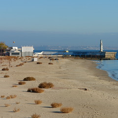 Заміновані пляжі Одеси почали вже заростати. Отрада