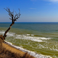 Санжейка