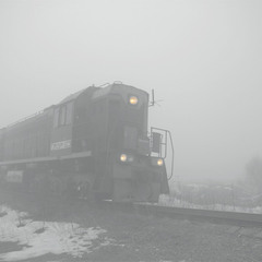 923, медленно в тумане гуляющий