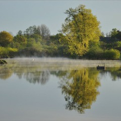 Утро на лебедином озере