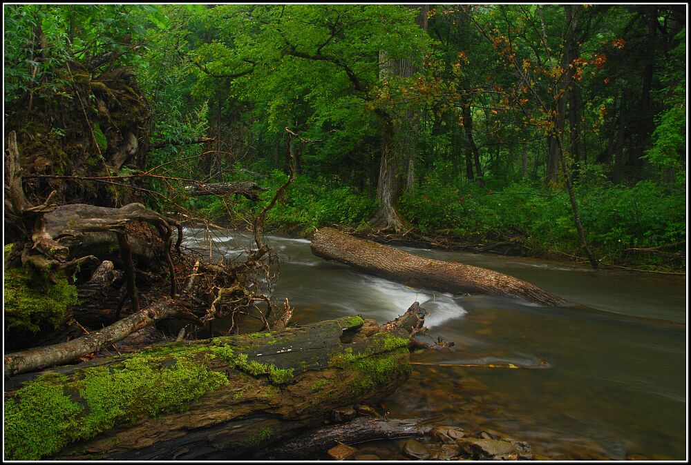 Фото Уссурийского Краю