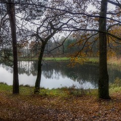 Осенняя грусть лесного озера...