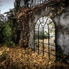Отражение Осени.