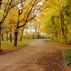 Осень в Софиевском парке