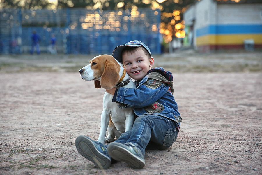 Мальчик с собакой