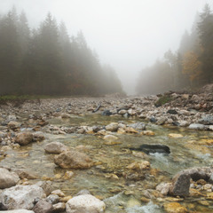 Туманність лісової річки...