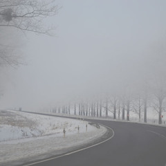Зимовий туман