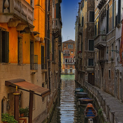 Венеціанські будні