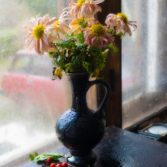 Час хризантем 2