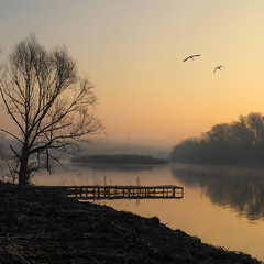 На зустріч сонцю