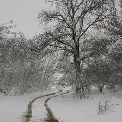 Дорога в зиму.