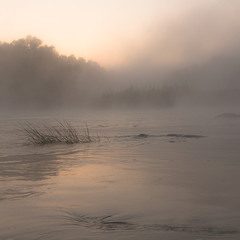 РічкаРанок Туман