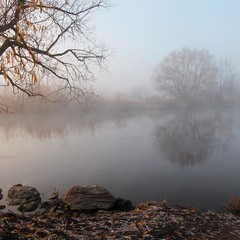 Річка Туман