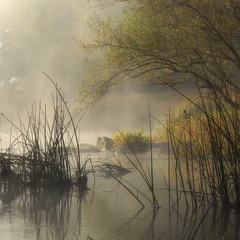 РічкаРанок Туман