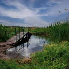 Місток річки Кодима