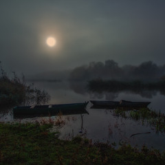 Нічні барви