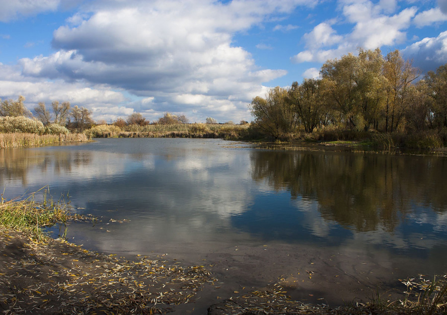 Оскол река реки белгородской области. Оскол река реки белгородской области. Река оскол 2023. Исток реки оскол в белгородской области. Река оскол 2023.